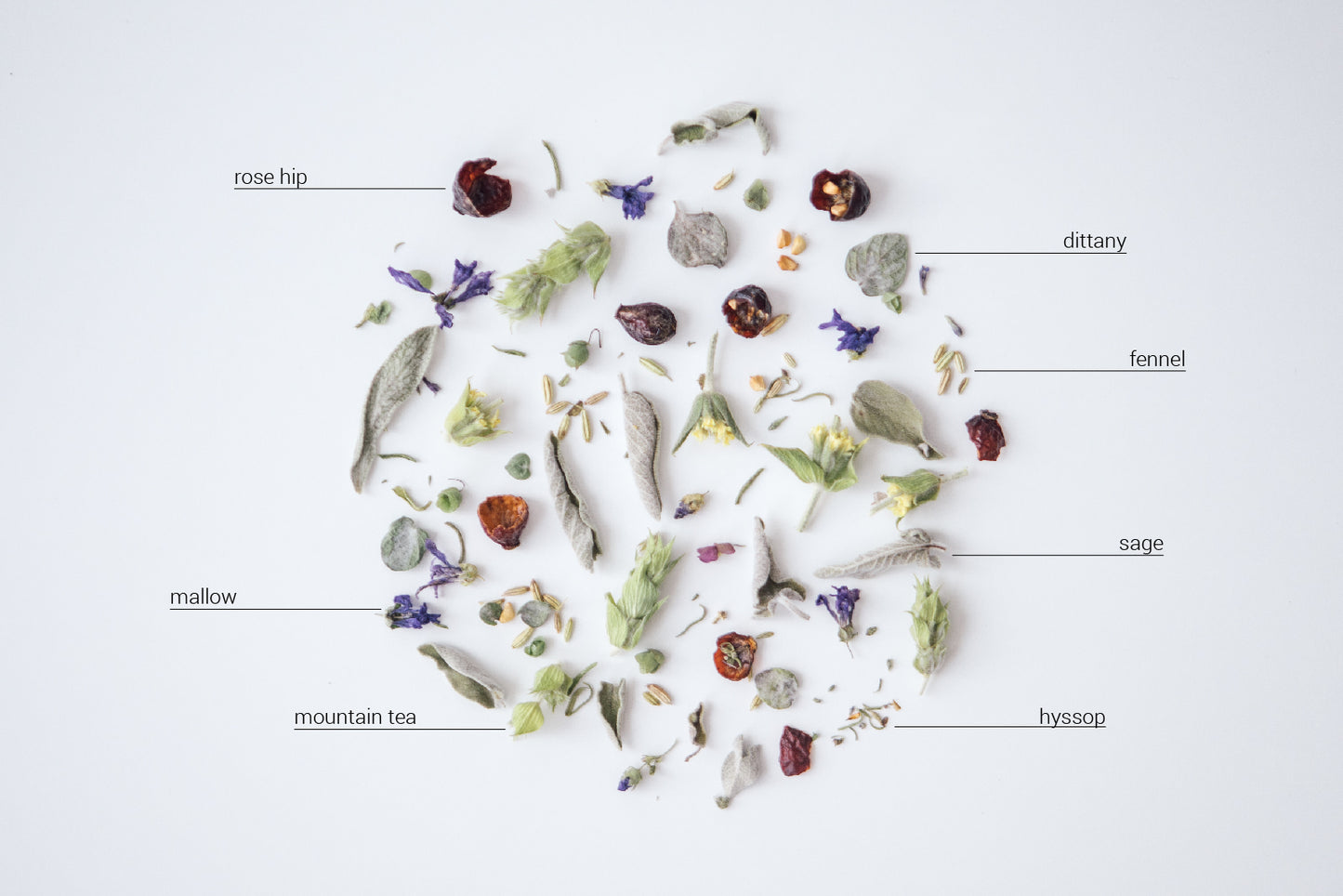FOREST | Organic Herbal Tea Blend