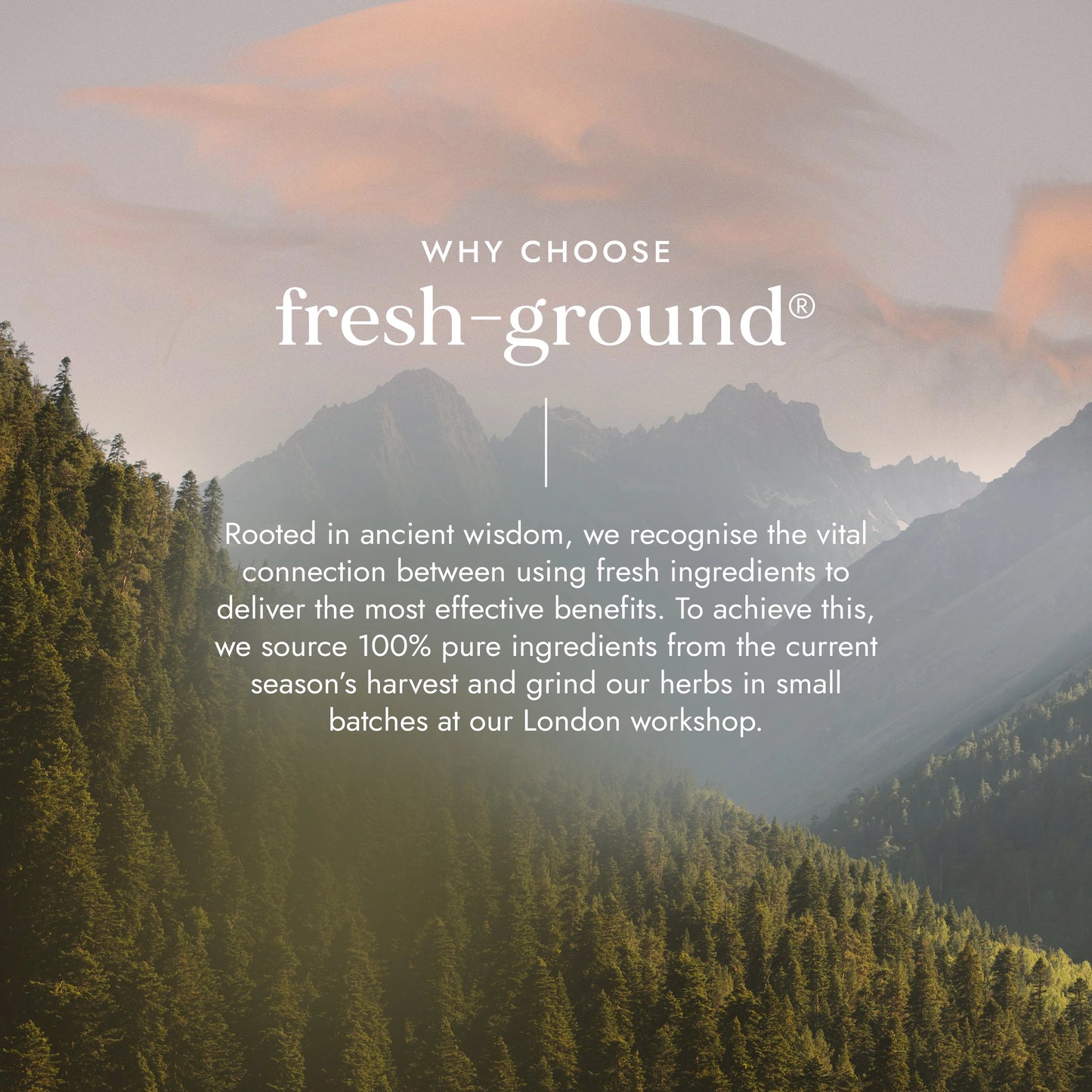 Organic Rhodiola