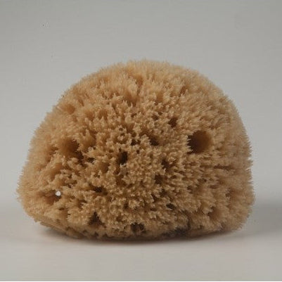 Natural, antibacterial bath sponge from Kalymnos, Greece. Honeycomb for a rich lather for your body.