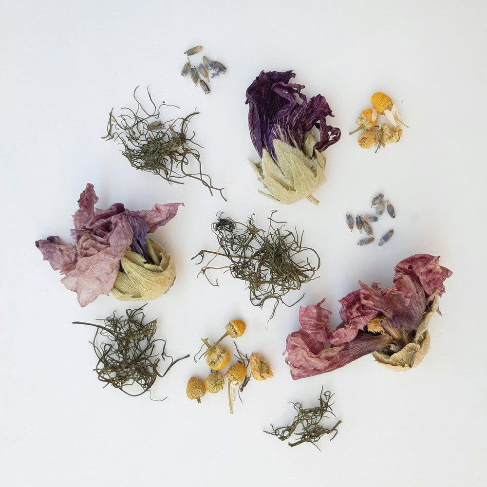 Fennel seeds and leaves, althea, lemon verbena and chamomile, the ingredients of the Youthful Joy herbal blend by Arritos