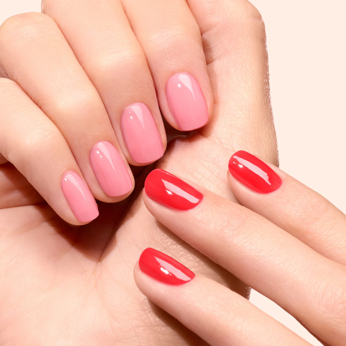 All About Jellies | Nail Polish Duo & Pouch