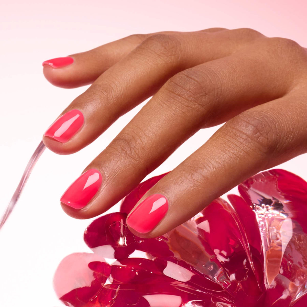 All About Jellies | Nail Polish Duo & Pouch