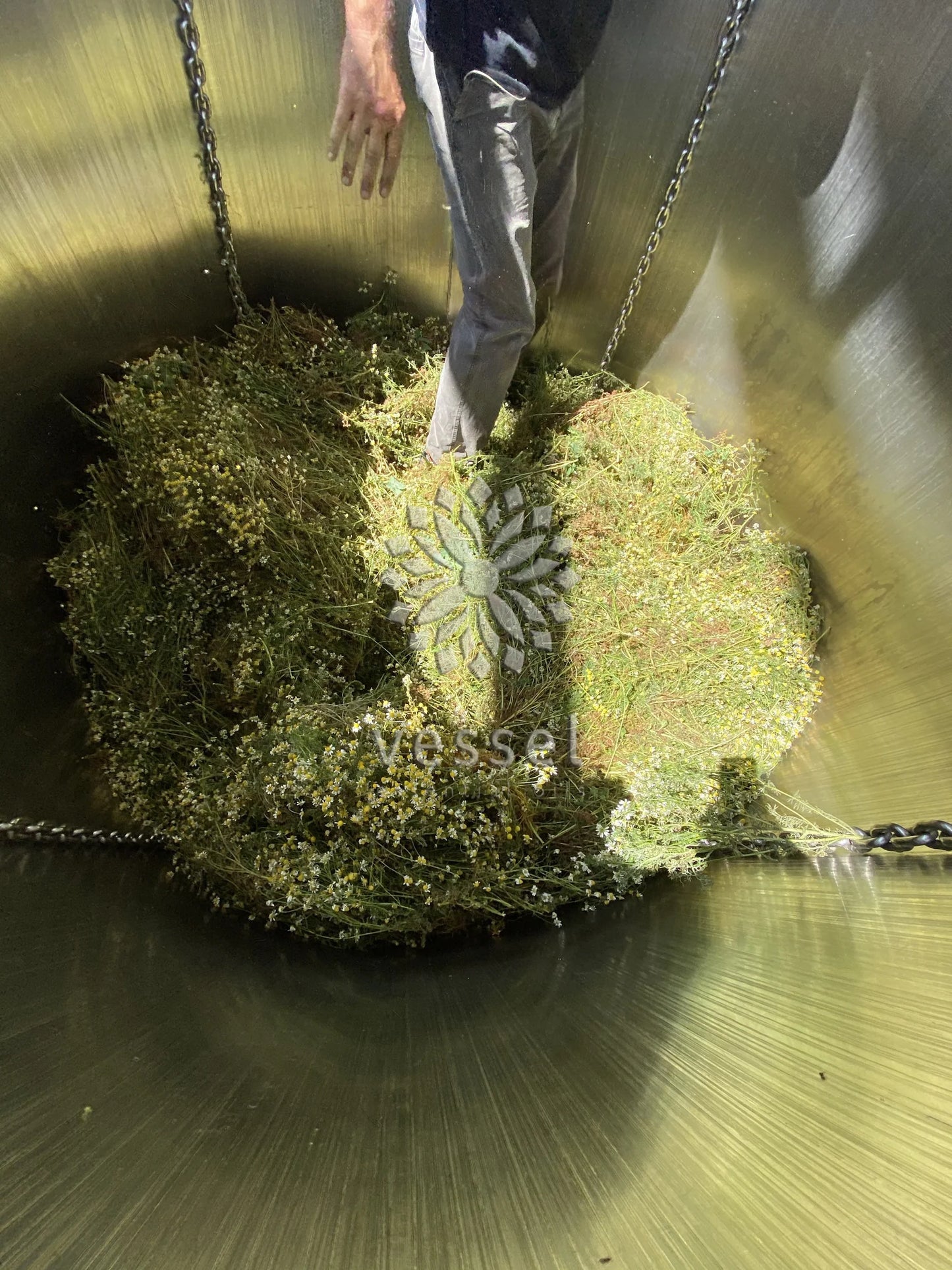Person standing on chamomile inside a large metallic tank.