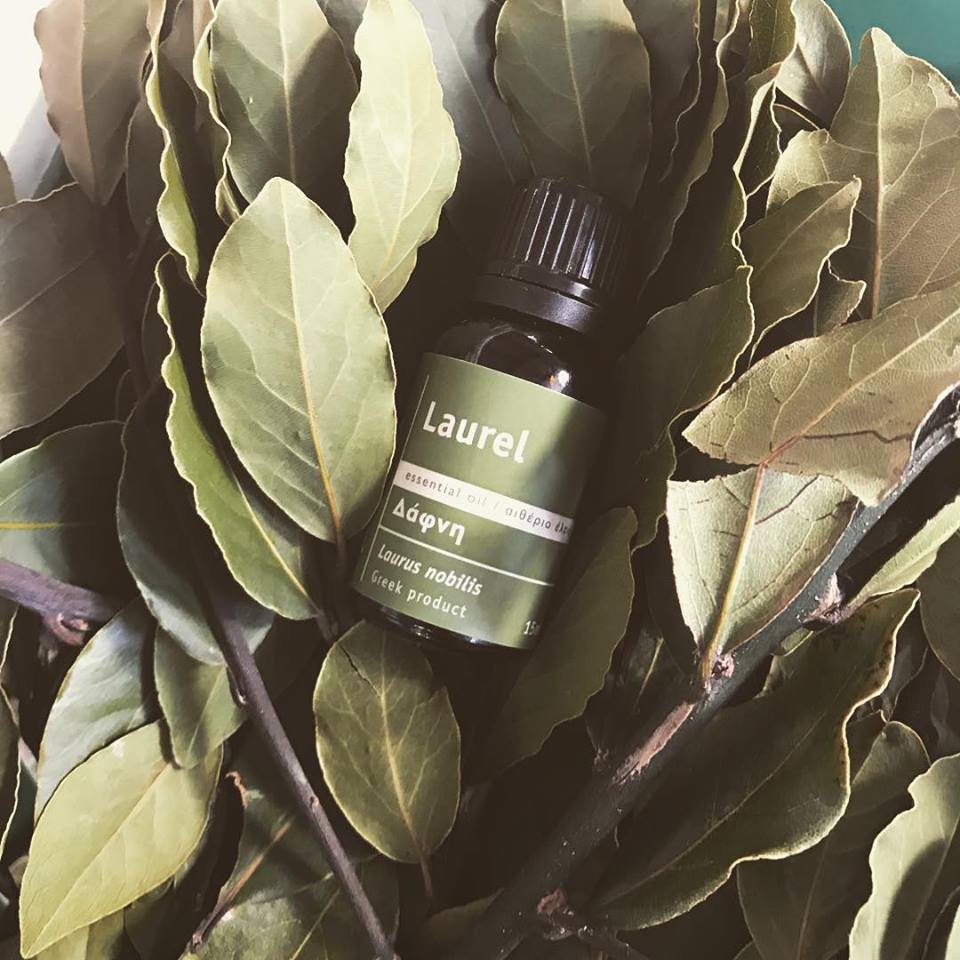 Bottle of Laurel essential oil by vessel surrounded by laurel leaves