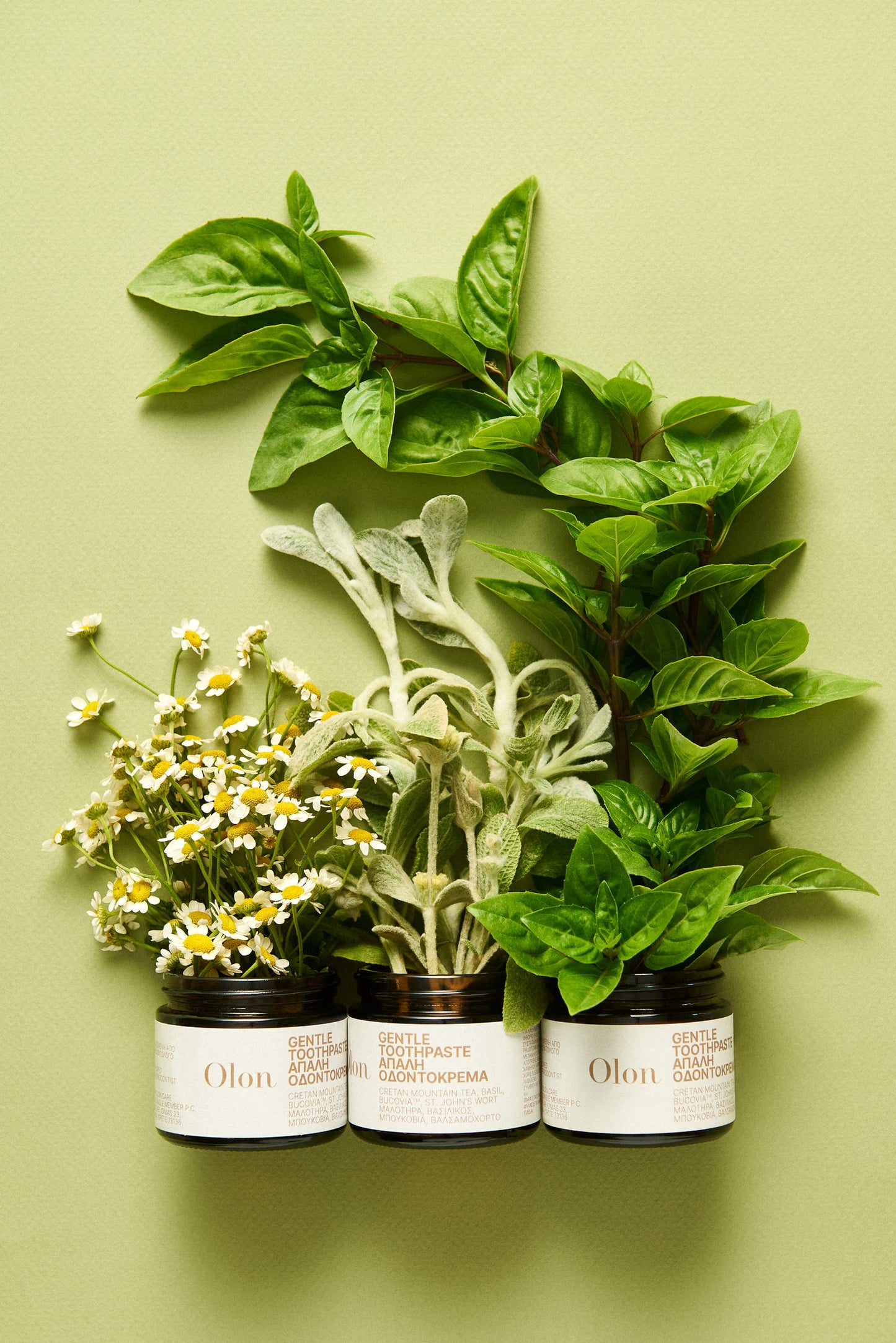 3 jars of Gentle Toothpaste by OLON with plants growing out of them