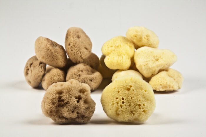 Natural Fine Silk Sponge from Kalymnos, Greece. Soft, gentle, ideal for babies, facial use and sensitive skins. 