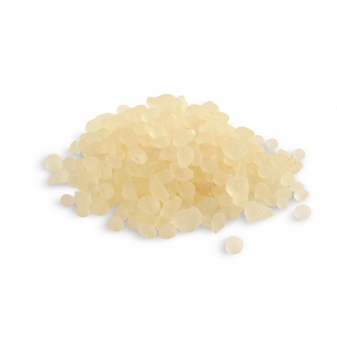 Close-up of extra-hard mastic resin droplets from Chios, Greece, pure natural jaw-strengthening gum.