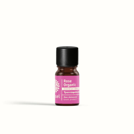Bottle of rose organic essential oil by vessel with a pink label on a white background
