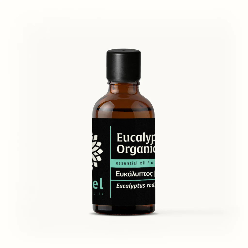Bottle of Eucalyptus Organic essential oil by vessel on a white background